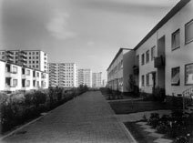 Reihenhuser an der Karl-Lerbs-Strae; im Hintergrund achtgeschossige Scheibenhochhuser